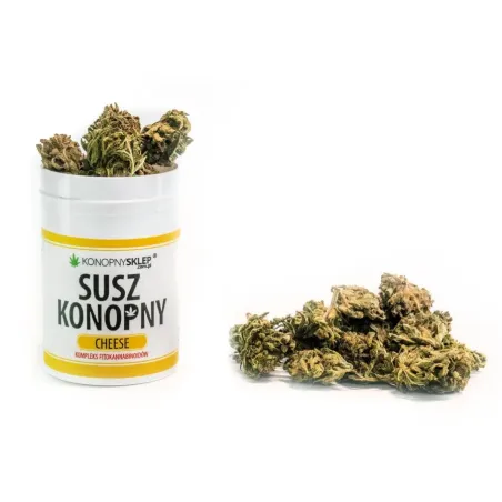 Susz konopny 3% CBD 2g Cheese Susz konopny 3% CBD 2g Cheese