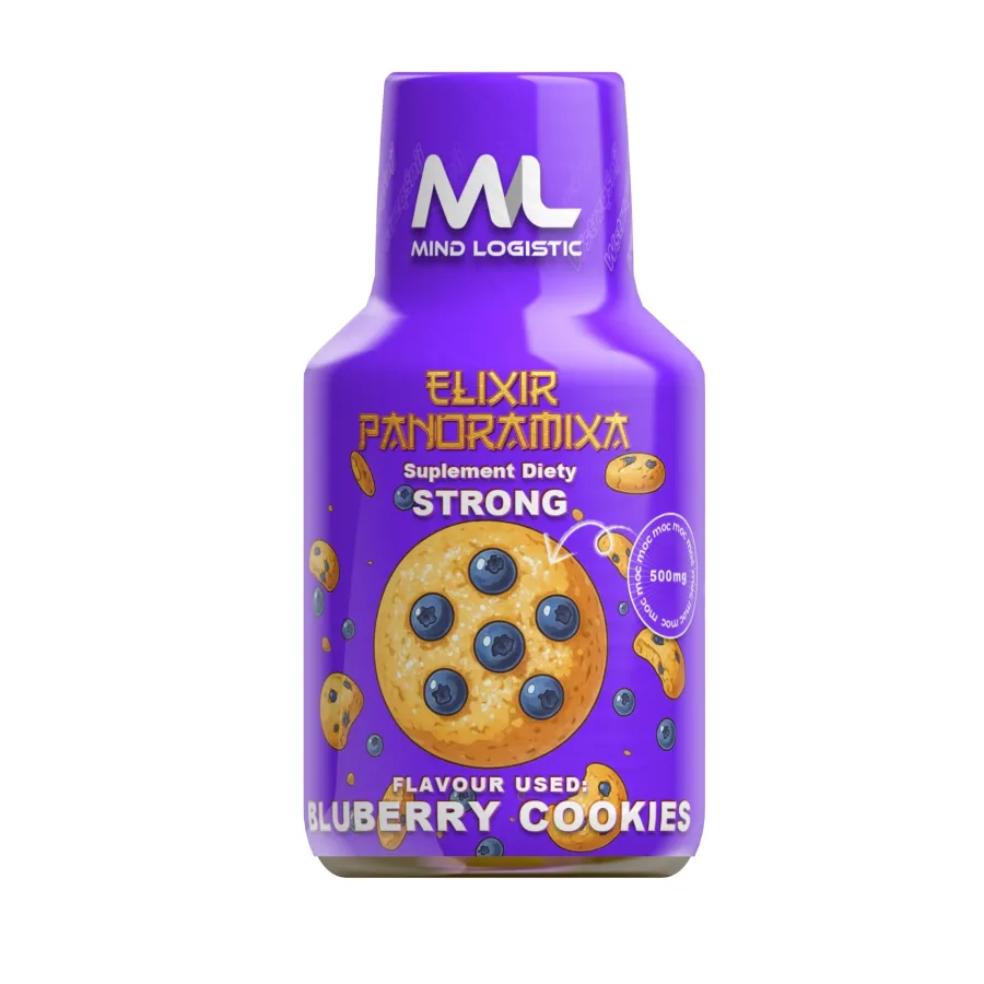 ELIXIR PANORAMIXA – Blueberry Cookies 100ml 500mg
