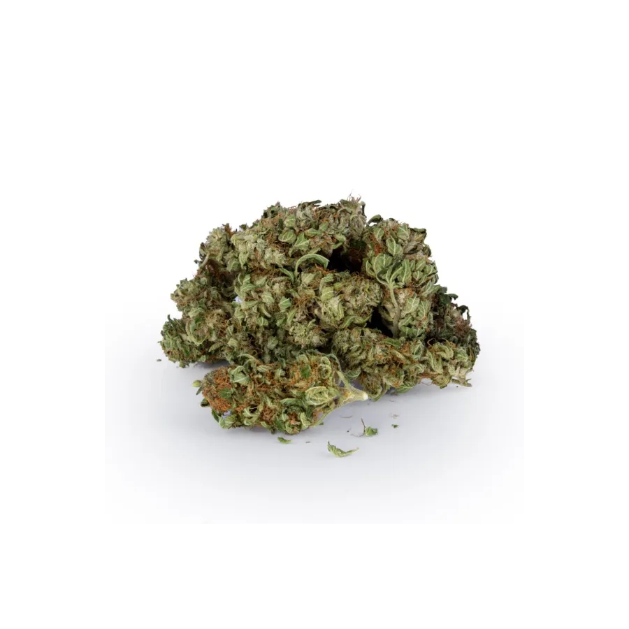 Getrockneter Hanf CBG Grandma Marysia Santhica 5g