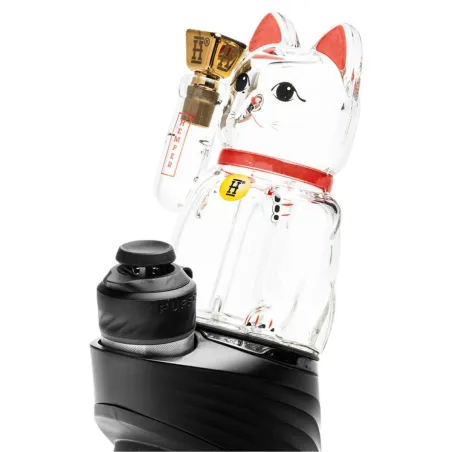 Szkło zapasowe Puffco Peak HEMPER  Lucky Money Cat