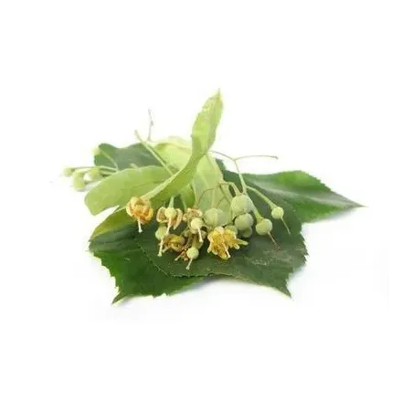 Lipa BIO 15g Lipa BIO 15g