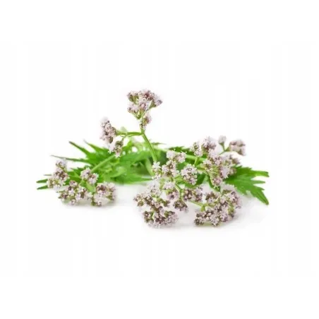 Waleriana BIO 15g Waleriana BIO 15g