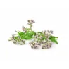 Waleriana BIO 15g Waleriana BIO 15g