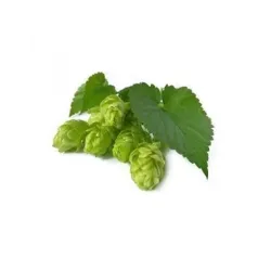 BIO Hopfen - 10g