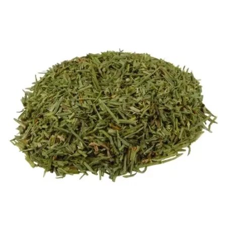 Skrzyp polny 10g BIO Skrzyp polny 10g BIO