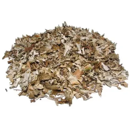 Płucnica islandzka 15g BIO Płucnica islandzka 15g BIO