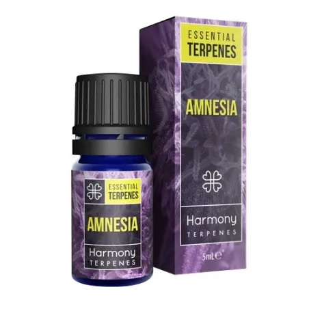 Terpeny Clarity Amnesia Terpeny Clarity Amnesia