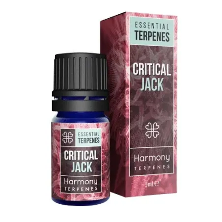 Terpeny Clarity Critical Jack