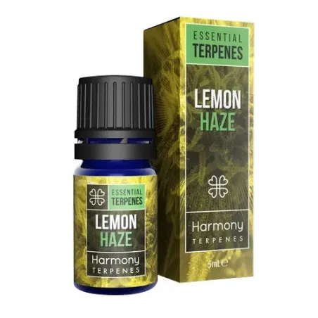 terpeny lemon haze terpeny lemon haze