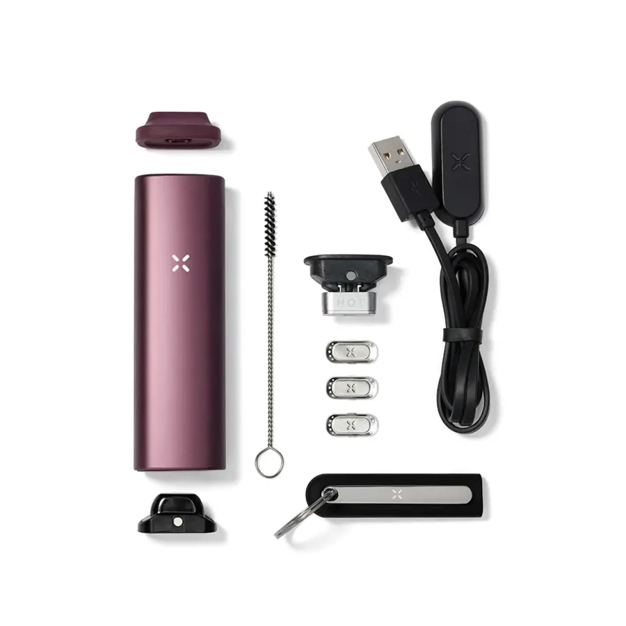 PAX PLUS ELDERBERRY waporyzator