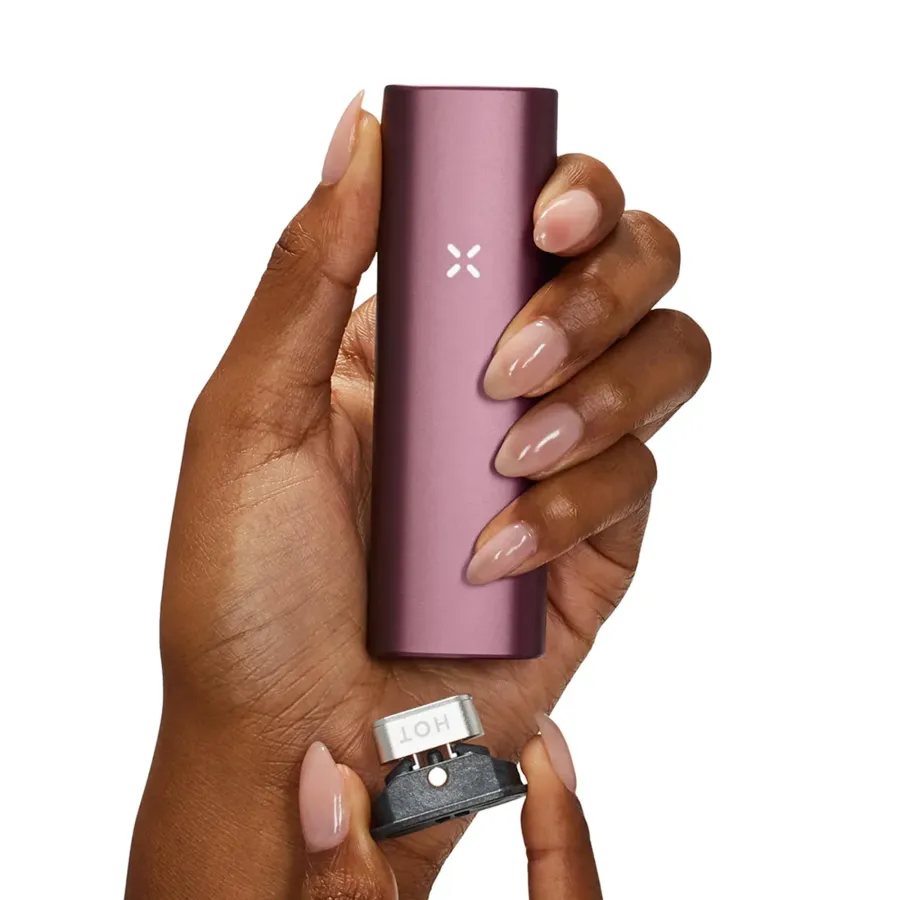 PAX PLUS ELDERBERRY waporyzator PAX PLUS ELDERBERRY waporyzator