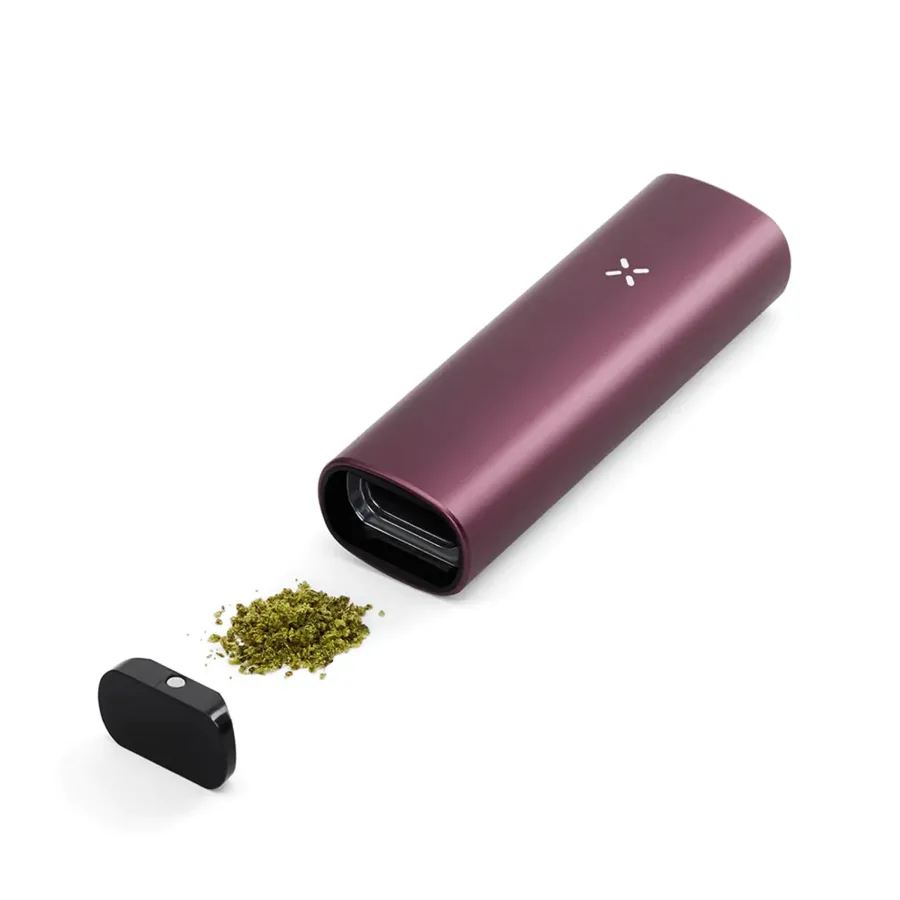 PAX PLUS ELDERBERRY waporyzator