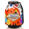 Smokebuddy Original Las Vegas - pochłaniacz dymu i nieprzyjemnych zapachów Smokebuddy Original Las Vegas - pochłaniacz dymu i nieprzyjemnych zapachów