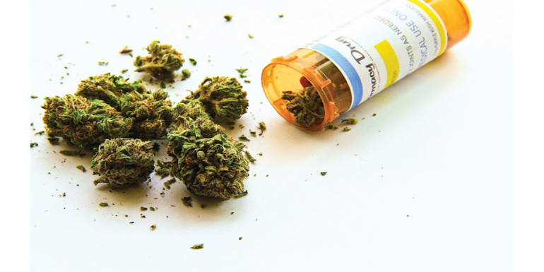 Medyczna marihuana dostępna na receptę