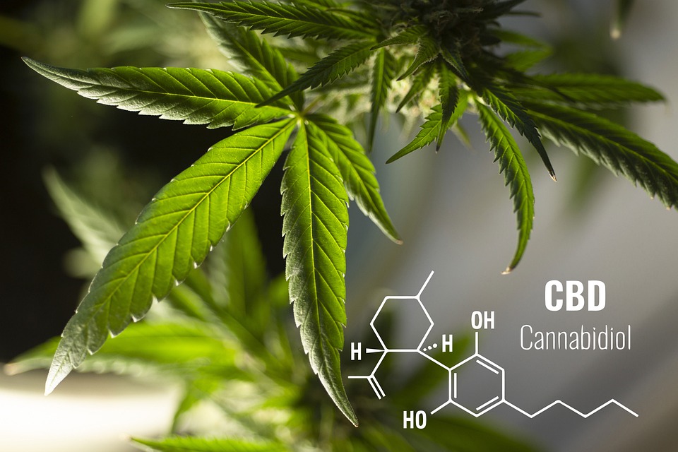 cbd cannabidiol