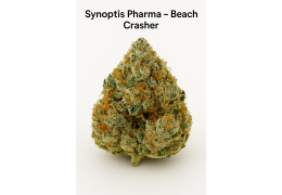 Synoptis Pharma – Beach Crasher