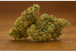 Biscuit Runtz – Nowa odmiana od S-Lab (Tilray)
