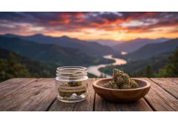 Blood Orange Kush 29% odmiana od Canopy Growth 2026