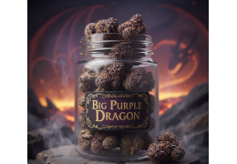 Big Purple Dragon 24% - Nowa odmiana do Phytopur Bio