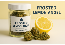 Frosted Lemon Angel od Phytopur Bio – Nowa Odmiana Medycznej Marihuany w Polsce