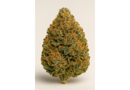 Nowość: Synoptis Pharma Island Sweet Skunk (ISS)