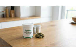 Master Kush 22% (Synoptis) – Powrót legendy. Opinie, Cena i Opis