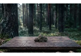 OG Kush Bliss Pharma – THC 22% profil terpenów
