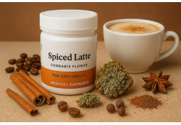 Spiced Latte – Nowość od S-Lab: Pełna Analiza Medycznej Odmiany Konopi